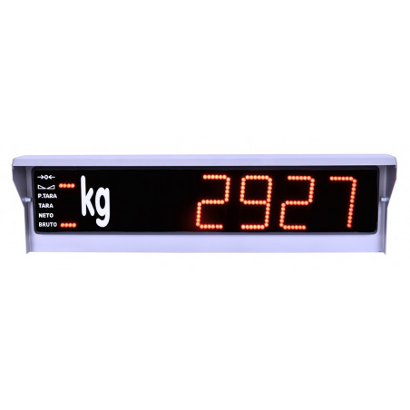 Display DL100